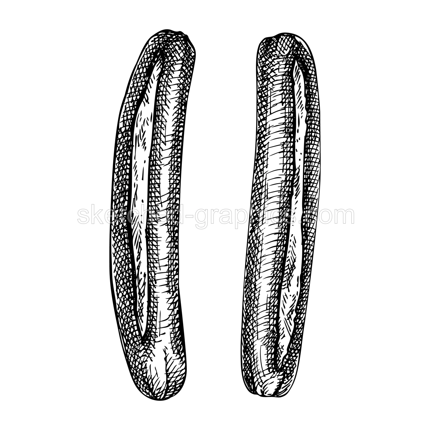 Grilled sausage vintage drawing. German food sketch. Oktoberfest menu design element. Hand drawn fast food illustration for Octoberfest. Traditional German cuisine meal sketch. Frankfurt sausage Illustration
